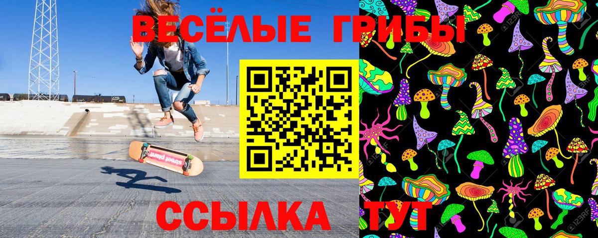 Галлюциногенные грибы Cubensis  купить закладку  Псилоцибиновые грибы Cubensis  Кисловодск  Вход с VPN 